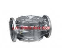 LỌC GA DN65-DN300
